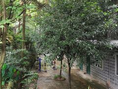-凤栖山