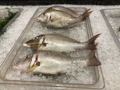 -Isla Sugbu Seafood City