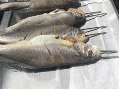 -江合勇丹东兄弟小串海鲜烧烤(总店)