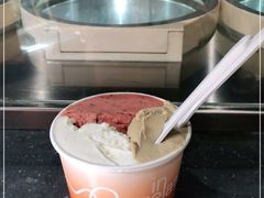 -Dip in Gelato(富民路店)