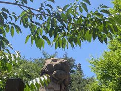 -崂山九水游览区