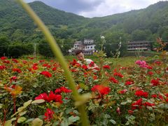 -镇坪县曙坪小学