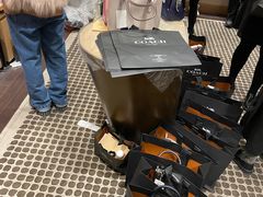 -COACH蔻驰(恒隆广场店)