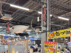 -南纪白浜Toretore市场