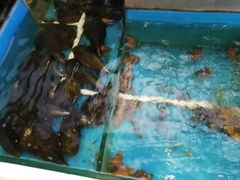 -海鸿荟·沿江菜(中山北路店)