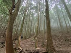 -含鄱口