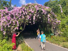 -广西壮族自治区药用植物园