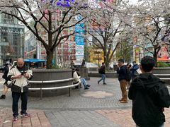 -涩谷区