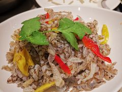 -蝎王府羊蝎子(西直门店)