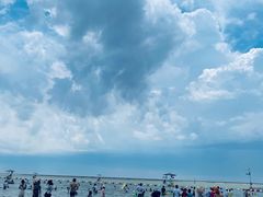 -碧海金沙