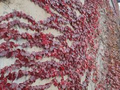 -半岛1919创意园区