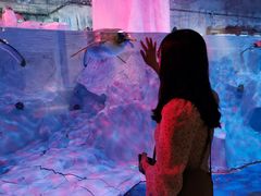 -芜湖新华联大白鲸海洋公园