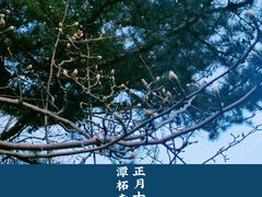 -潭柘寺景区