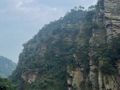 -庐山碧龙潭风景区