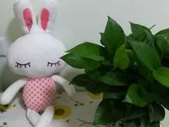 -海底捞火锅(奥山世纪城店)