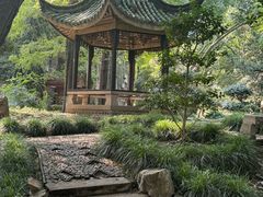 -苏州大学(天赐庄校区)