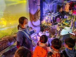 -恐龙探索乐园(磁器口店)