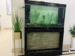 -VE专注问题肌·赛诺龙&科学美肤中心