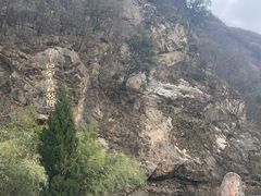-秦岭风景区
