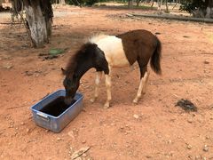 -好江南农庄·农家乐