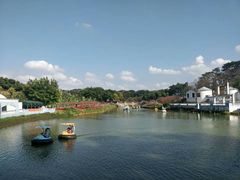 -松山湖南湖湾露营营地