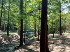 -白水寺森林公园