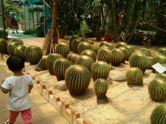 -广东茂名森林公园