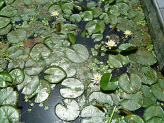 android_upload_pic-解放公园