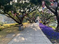 -江心屿景区