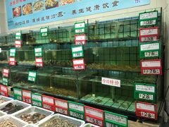 水产区-海岛渔村大酒店(云霄路店)