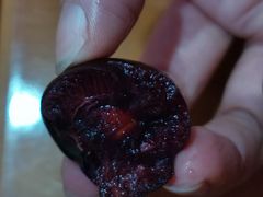 -江杨农产品批发市场