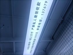 -藤野造型