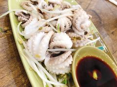 芥末八爪鱼-贞姨美食·老字号海鲜大排档