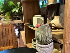 -自由生长植物工作室(深港花卉中心店)