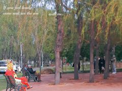 -长春公园(普阳街道)