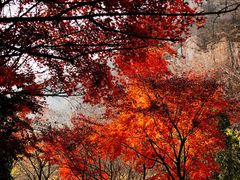 -崂山九水游览区