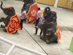 -大连森林动物园