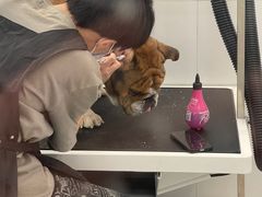 -comecome来吧宠物(奥克斯中心店)