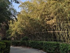 -西安汉城湖景区