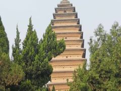 -洛阳白马寺