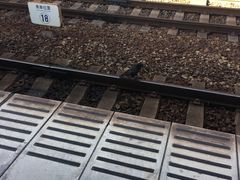 -中部国际机场