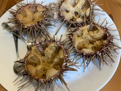 -海胆小馆(东北水饺·春柳店)