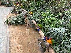 -南宫五洲植物乐园