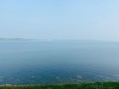 -丁香湖公园