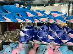 -太平洋海底世界