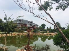 -洛漾舸船宴餐厅(洛漾半岛店)