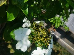 -蜀冈西峰生态公园