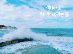 -西霞口神雕山野生动物世界