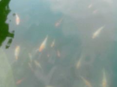 -虹都水岸酒店