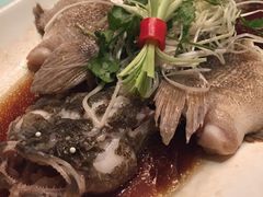 -骏莱海鲜鱼港(五角场店)